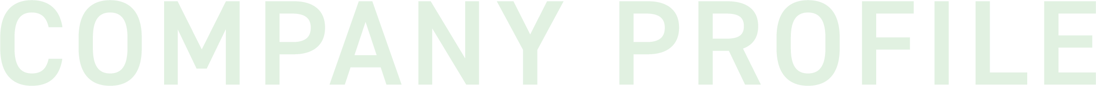 companyprofile-title